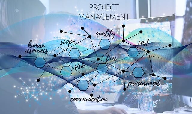 Projektmanagement skills