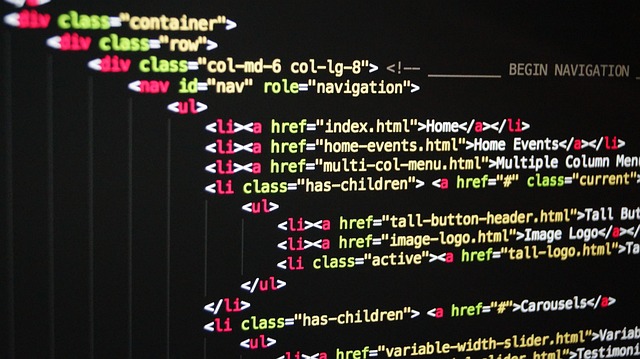 Software Entwicklung